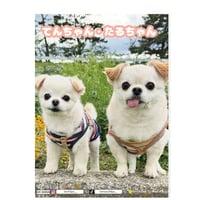 【予約販売】 てんちゃん・たるちゃん 犬 日記帳 DR009NN