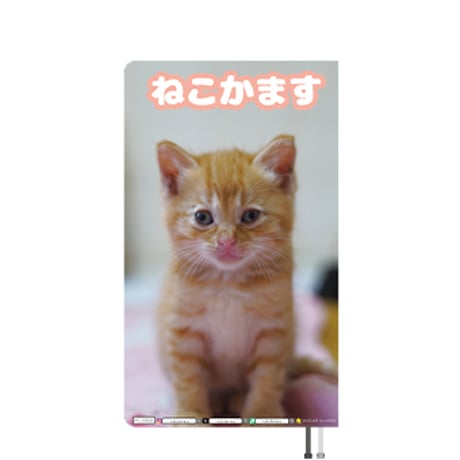 【予約販売】 ねこかます 猫 2026年 POスケジュール カレンダー PO26052