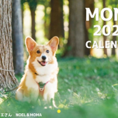 【予約販売】 コーギー犬 モナ 2024年 壁掛け カレンダー KK24294