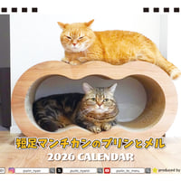 【予約販売】 短足マンチカンのプリンとメル 2026年 卓上カレンダー TA26267
