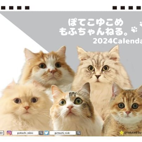 【予約販売】 猫のぽてこゆこめ  2024年 卓上 カレンダー TC24305