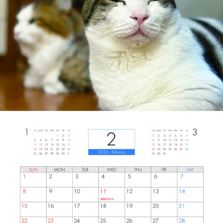 【予約販売】 ひのき猫 2026年 壁掛けカレンダー KA26175