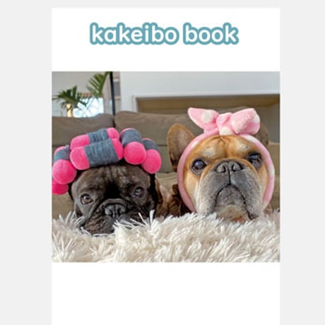 【予約販売】 フレンチブルドッグ犬のtorus トーラス 2025年 家計簿帳 CA25038