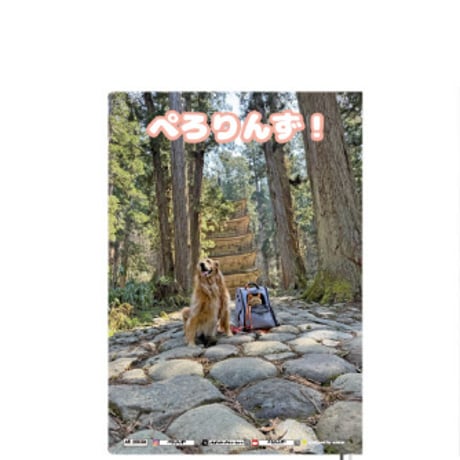 【予約販売】 ゴールデンレトリバー犬＆保護猫 ぺろりんず！ 2025年 A5スケジュール帳 A525008