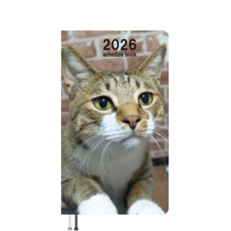 【予約販売】 保護猫イルカとハナ日記 2026年 ポケットスケジュール帳 PO26249