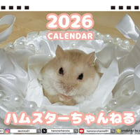【予約販売】 ハムスターちゃんねる 2026年 卓上カレンダー TA26284