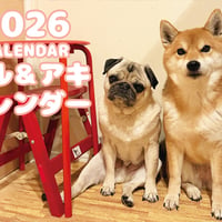【予約販売】 ラル＆アキ パグ 柴犬 2026年 壁掛けカレンダー KA26045