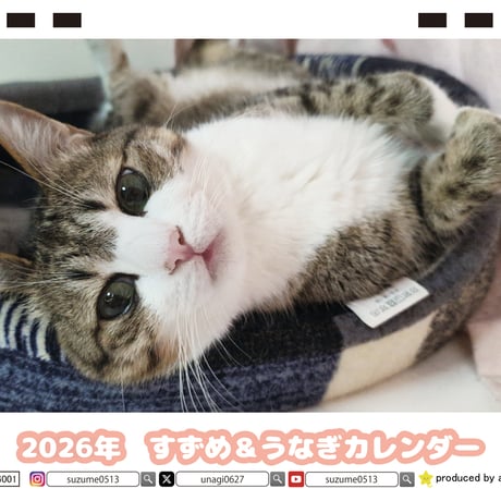【予約販売】 すずめ＆うなぎ 猫 2026年 卓上カレンダー TC26092