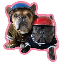 【予約販売】 トーラスとジュニパー フレンチブルドッグ 犬 ステッカーNo28 3枚セット SU028NN