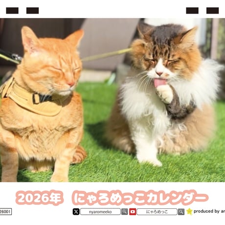 【予約販売】 猫のにゃろめっこ 2026年 卓上カレンダー TC26157