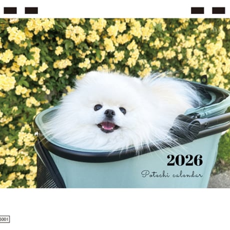 【予約販売】 ポテチ 犬 猫のレモンと犬のポテチちゃんねる 2026年 卓上 カレンダー TC26307