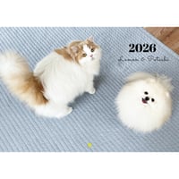 【予約販売】 レモンとポテチ 猫 犬 猫のレモンと犬のポテチちゃんねる 2026年 壁掛け カレンダー KA26305