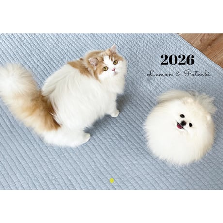 【予約販売】 レモンとポテチ 猫 犬 猫のレモンと犬のポテチちゃんねる 2026年 壁掛け カレンダー KA26305