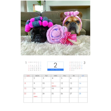 【予約販売】 フレンチブルドッグ torus トーラス 犬 2026年 壁掛け カレンダー KK26034