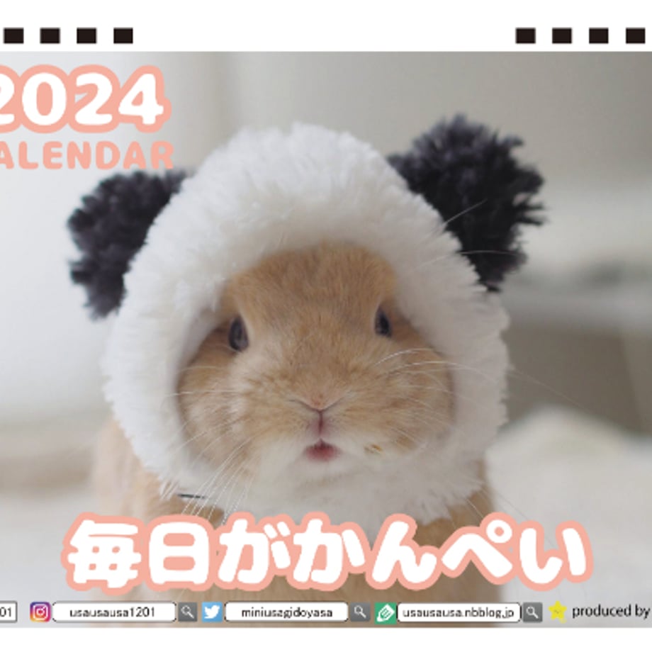 65158dc2191a4b0001986411