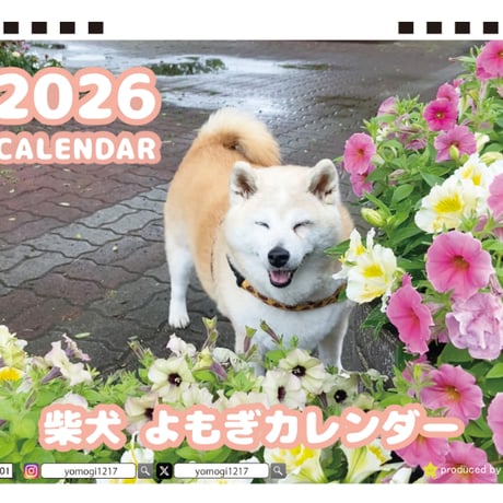 【予約販売】 柴犬のよもぎ 2026年 卓上 カレンダー TA26325