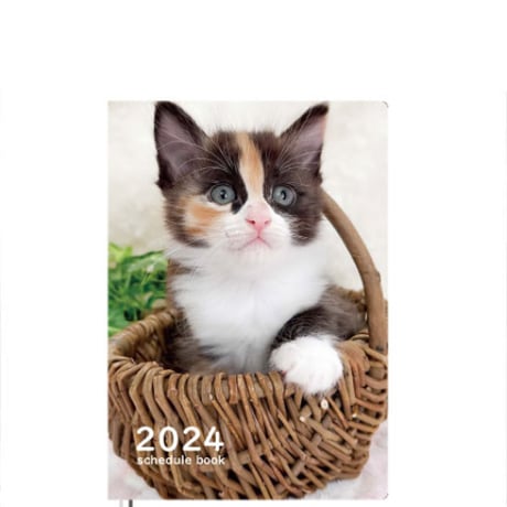 【予約販売】 猫のねこたま庵 2024年 A5 スケジュール帳 AF24160