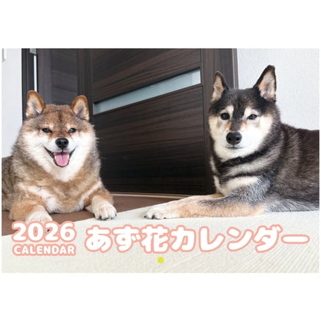 【予約販売】 柴犬のあず花 2026年 壁掛け カレンダー KA26069