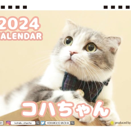 【予約販売】 猫のコハちゃん 2024年 卓上 カレンダー TC24204