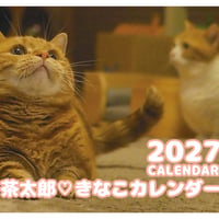 【予約販売】 茶太郎きなこ 猫 2027年 壁掛け カレンダー KK27001
