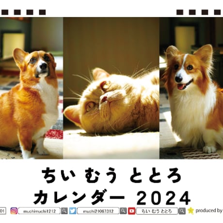 【予約販売】 コーギー犬と猫のちい むう ととろ 2024年 卓上 カレンダー TC24002