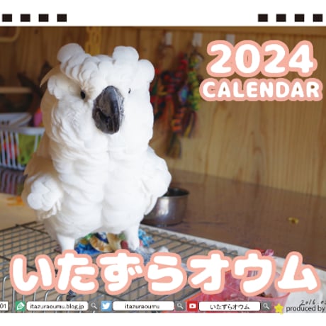 【予約販売】 鳥のいたずらオウム 2024年 卓上 カレンダー TC24242