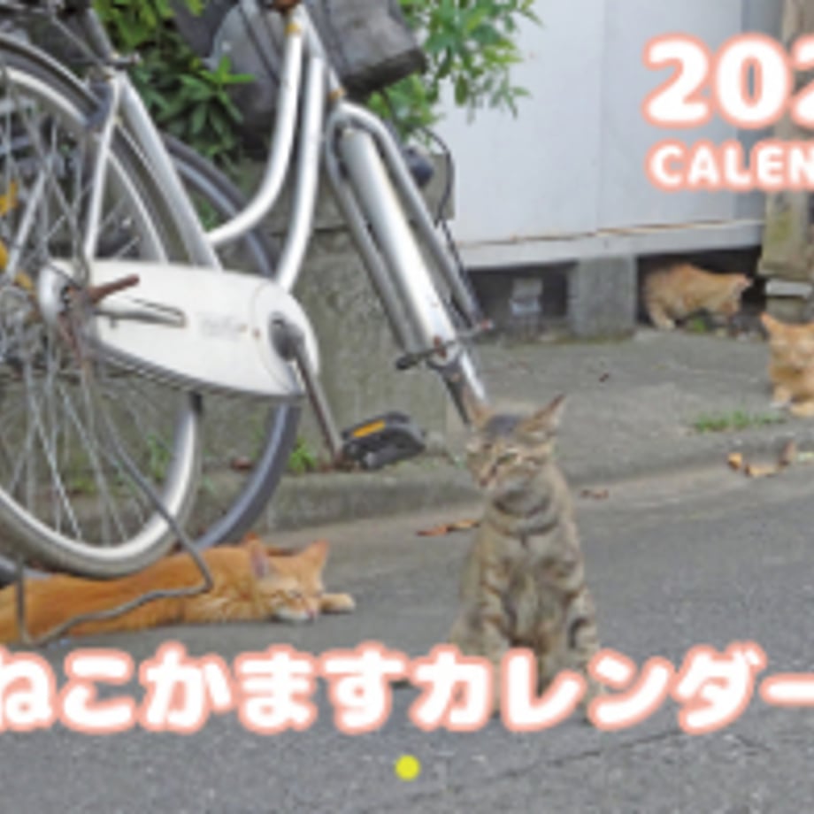 66db05f1cc85d000017b8b27