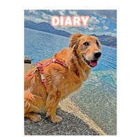 【予約販売】 ゴールデンレトリバー犬＆保護猫 ぺろりんず！ 2025年 日記帳 DR25012