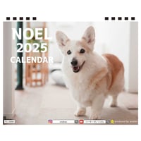 【予約販売】  コーギー犬 ノエル 2025年 卓上半面 カレンダー TC25351