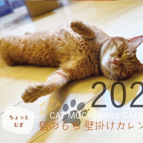 【予約販売】 猫のもち 2026年 壁掛けカレンダー KA26251