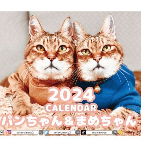 【予約販売】 猫のパンちゃん＆まめちゃん  2024年 卓上 カレンダー TC24306