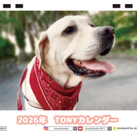 【予約販売】 TONY ラブラドールレトリバー 犬 2026年 卓上カレンダー TC26240