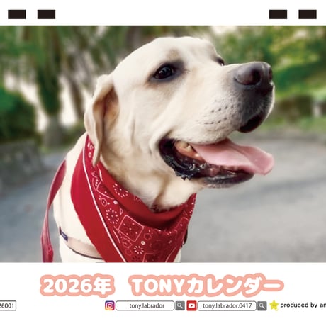 【予約販売】 TONY ラブラドールレトリバー 犬 2026年 卓上カレンダー TC26240