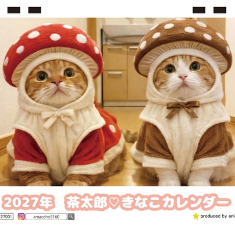 【予約販売】 茶太郎きなこ 猫 2027年 卓上 カレンダー TC27002