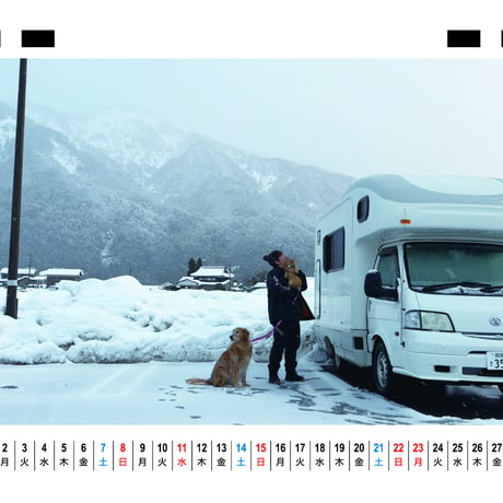 【予約販売】 ぺろりんず！ ゴールデンレトリバー 犬＆保護猫  2026年 卓上 カレンダー TC26291