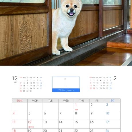 【予約販売】 ポメラニアンのポメくん 犬 2026年 壁掛け カレンダー KA26344