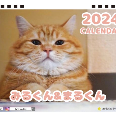 【予約販売】 猫のみるくん＆まるくん 2024年 卓上 カレンダー TC24191