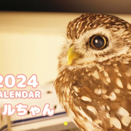【予約販売】 鳥のフクロウ トゥルちゃん 2024年 壁掛け カレンダー KK24141