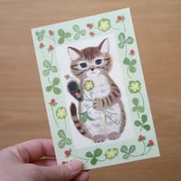 ポストカード　子猫