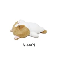 ヘアゴム レジン ポッテリ白猫ちゃん お正月バージョン ヘアゴム レジン ポッテリ白猫ちゃん お正月バージョン ふにゃ