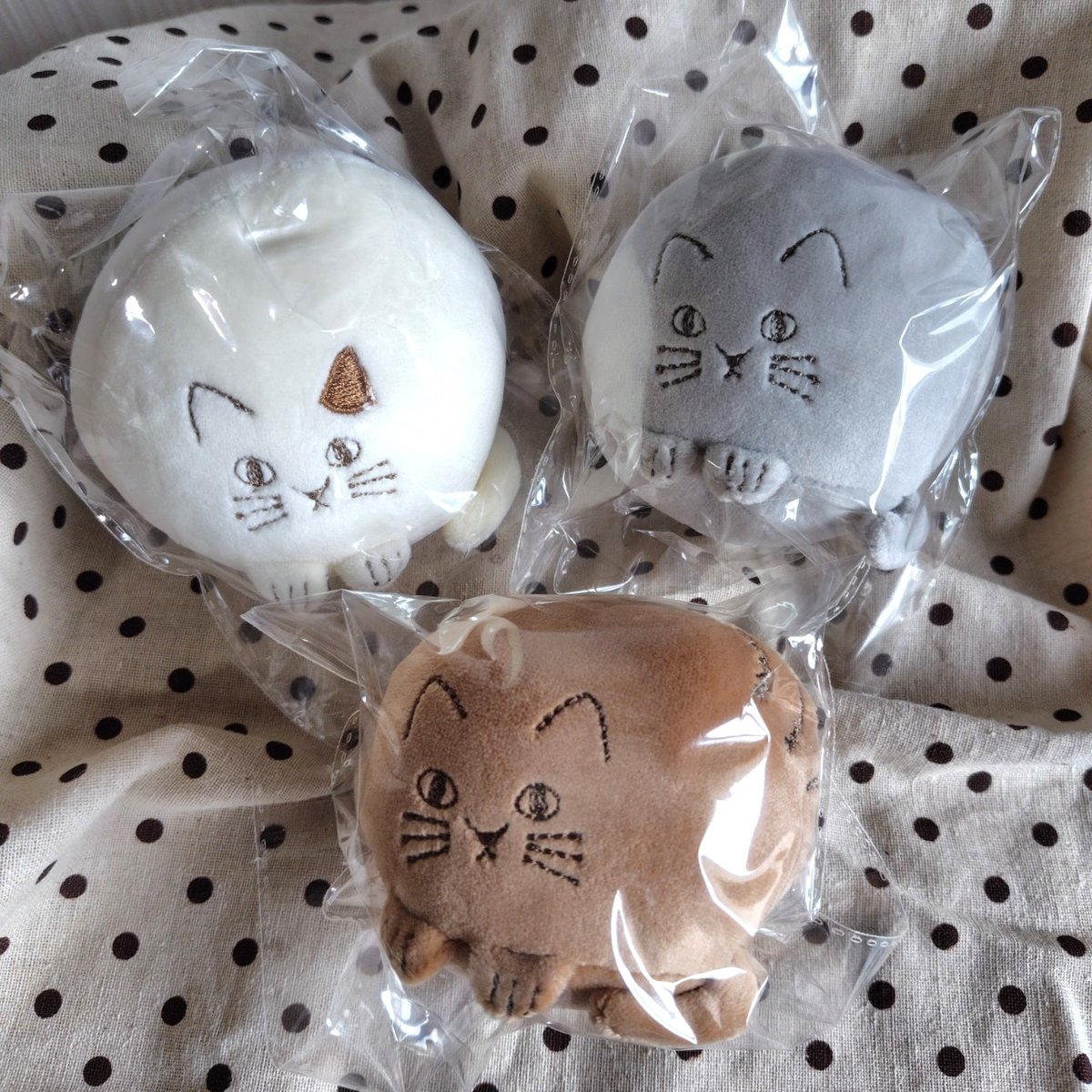 にゃふ専用 人気 □にゃふ様専用□ にゃふさん専用 ふにゃ♡さま専用 にゃふ専用 人気 □にゃふ様専用□ にゃふさん専用 ふにゃ♡さま専用