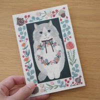 ポストカード　長毛猫