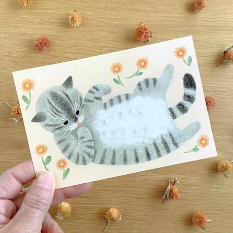 サバトラ猫 | STORES