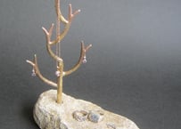 Jewelry tree -shashabu -