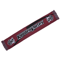 レプリカジャージ 1st | 九州電力キューデンヴォルテクス