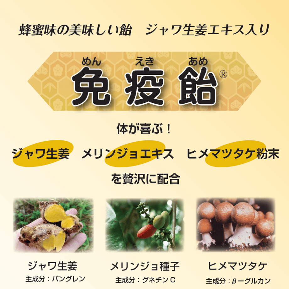 681cd055463f6008d96fe2e0