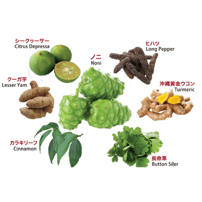 BOTANICAL7（ボタニカル・セブン） | BOTANICAL7 STORE