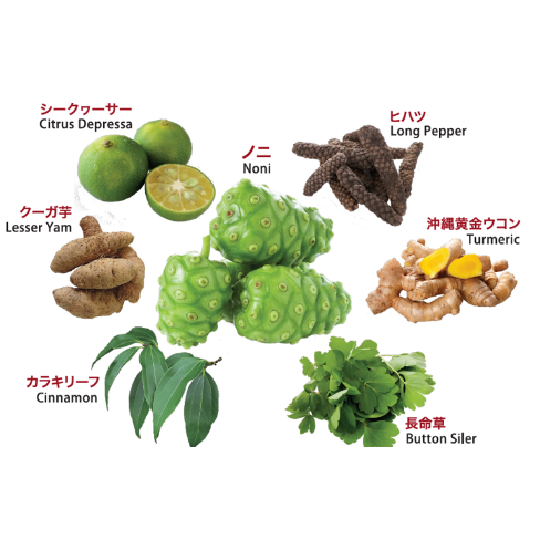 BOTANICAL7（ボタニカル・セブン） | BOTANICAL7 STORE