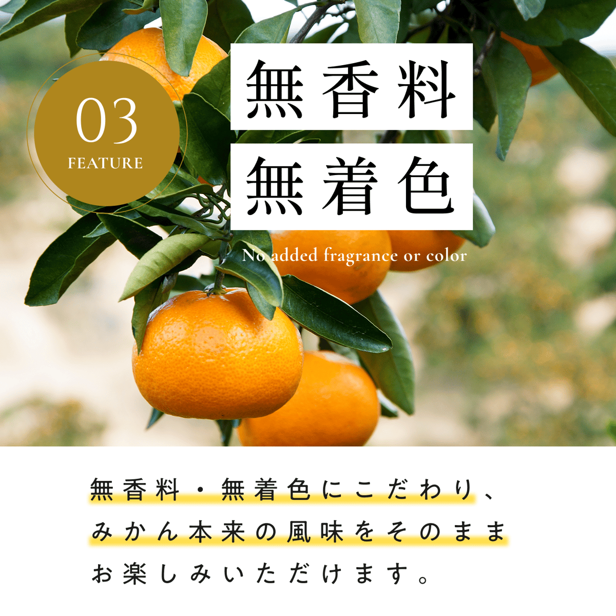 和歌山・有田産みかんゼリー（4個入り） | 梅義｜有田産みかんゼリー