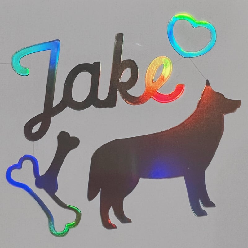 ホログラムステッカー／ENHYPEN ジェイク（送料無料）1.レイラ